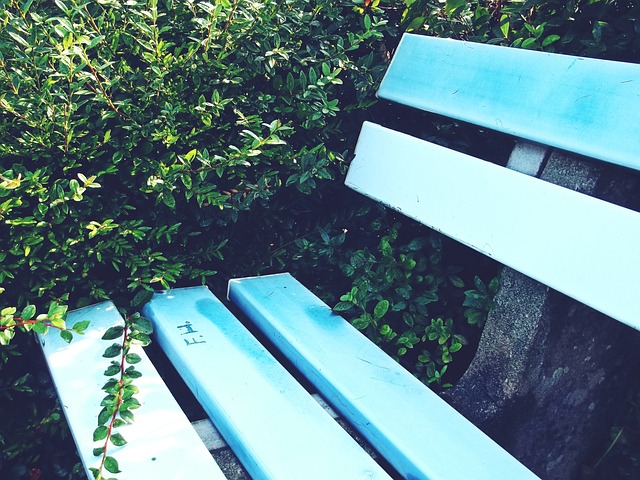 骑士多次展 骑士多次展