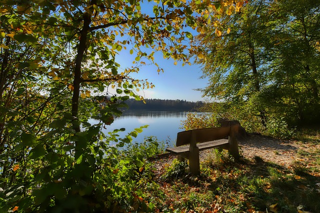 核心的缺席 核心的缺席